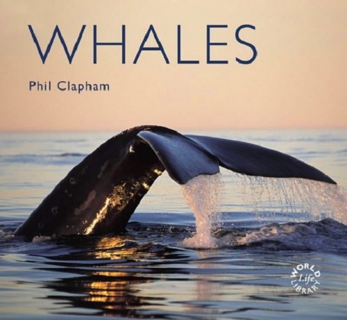 Worldlife Library Special Whales by Phil Clapham